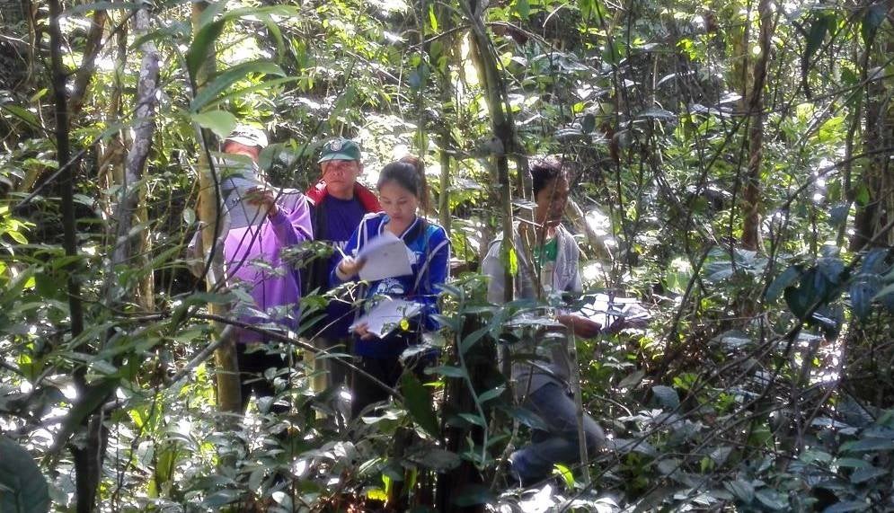 village forest management in Dong Khapo, Khammouane Pvince, Lao PDR. Photo by Bouaphet Philaket village forest management in Dong Khapo, Khammouane Pvince, Lao PDR. Photo by Bouaphet Philaket